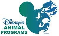 Disney's Animal Programs
