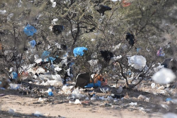 Plastic Pollution In Niger: An Alarming Snapshot