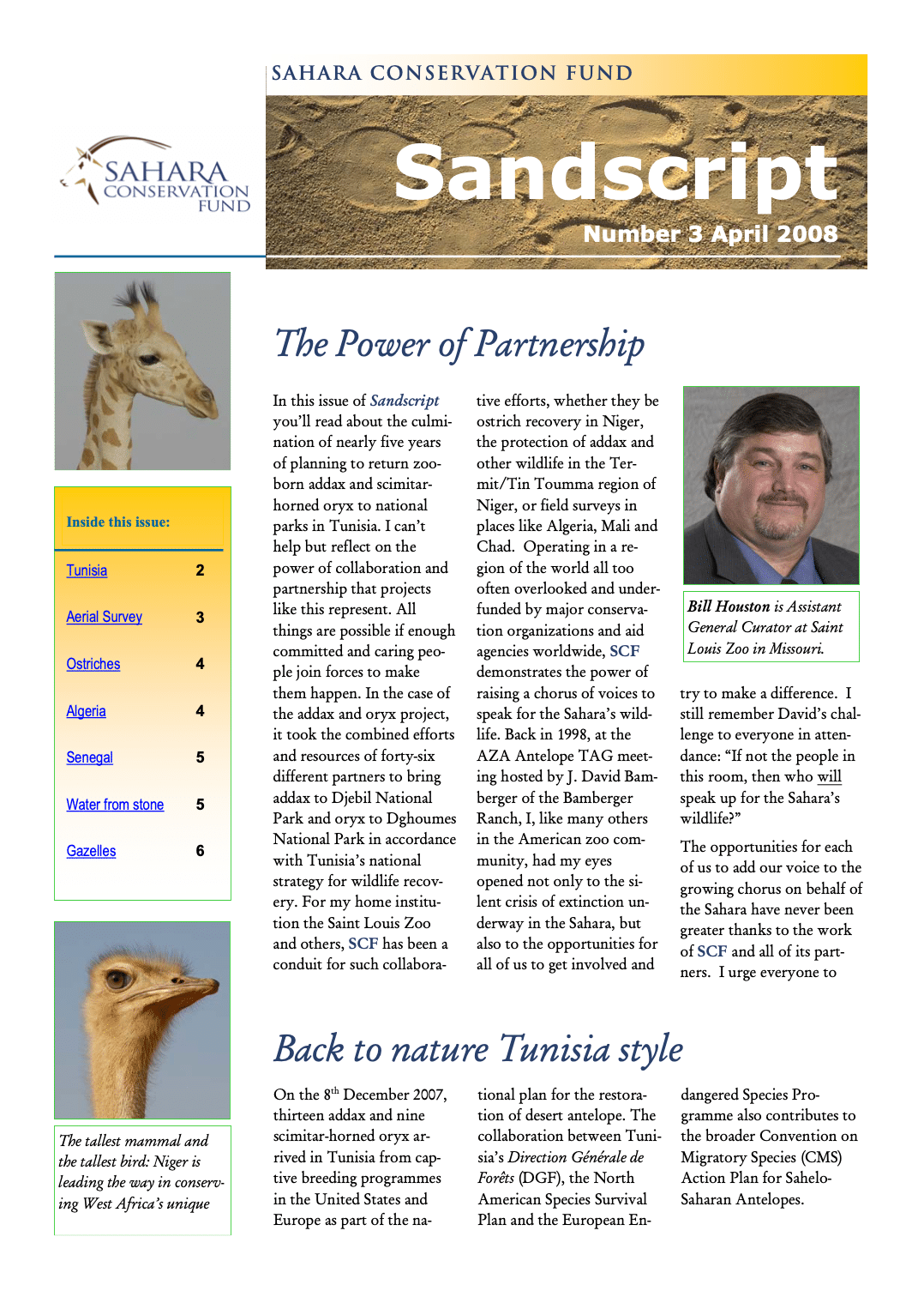 Read Sandscript #31! - Sahara Conservation