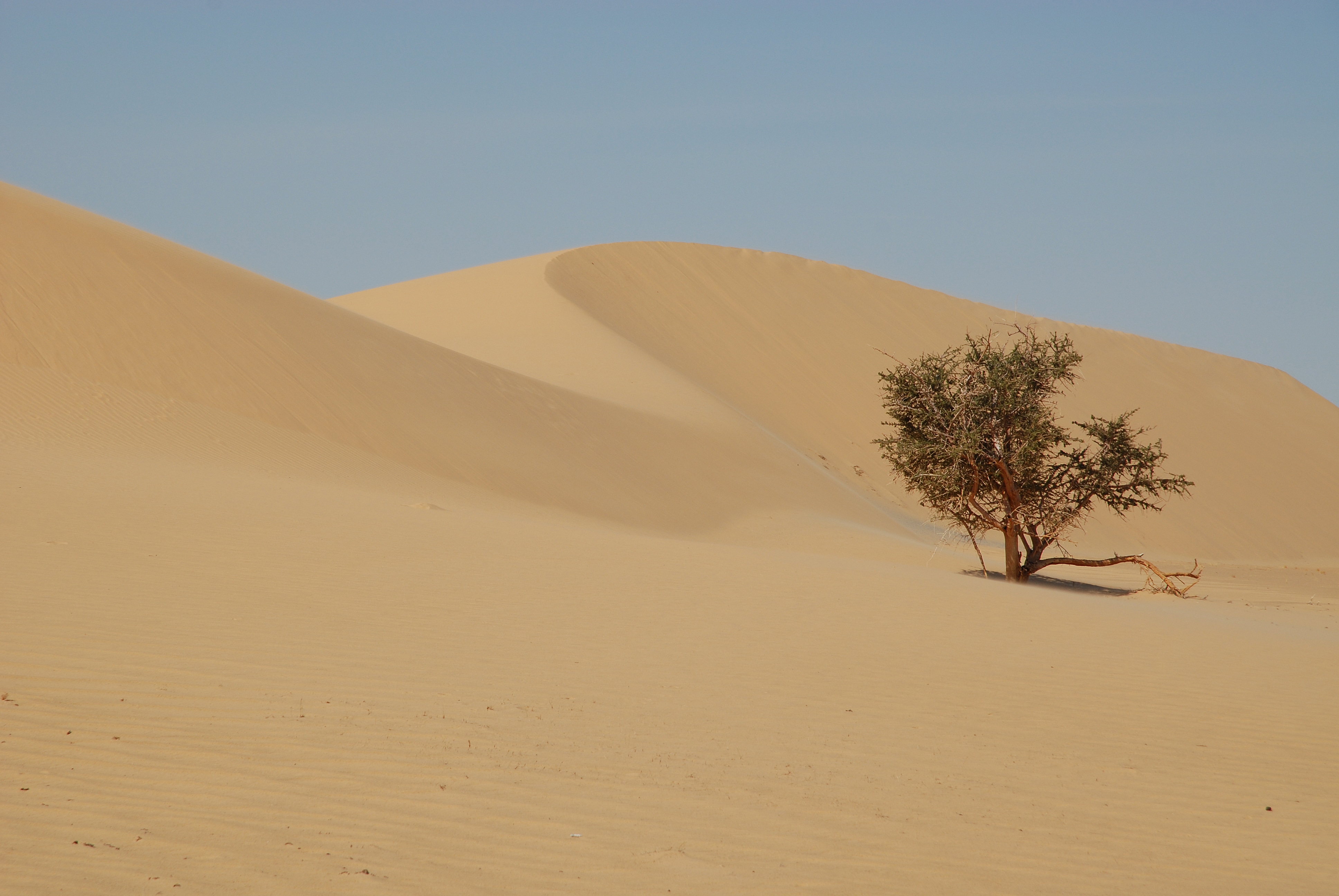 Erg | Reg, a New Book on the Sahara’s Beauty