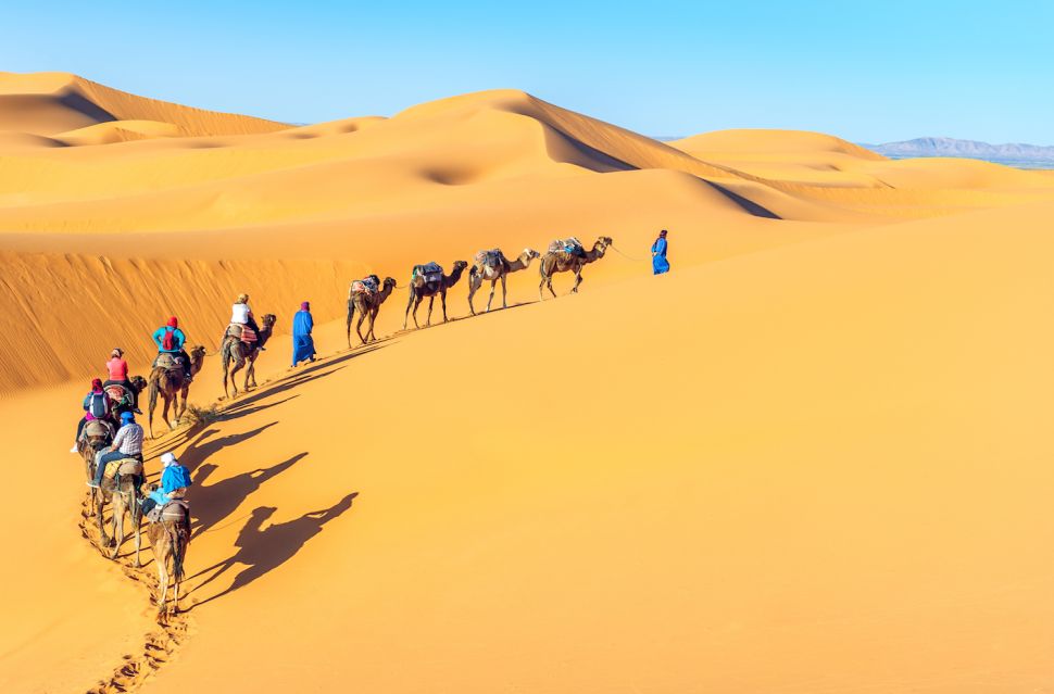 The Sahara: Earth’s Largest Hot Desert