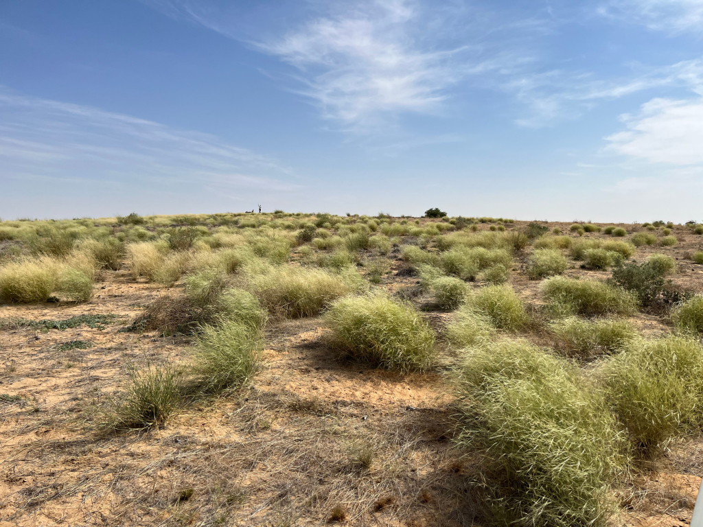 Ouadi Rimé Ouadi Achim Faunal Reserve in Chad