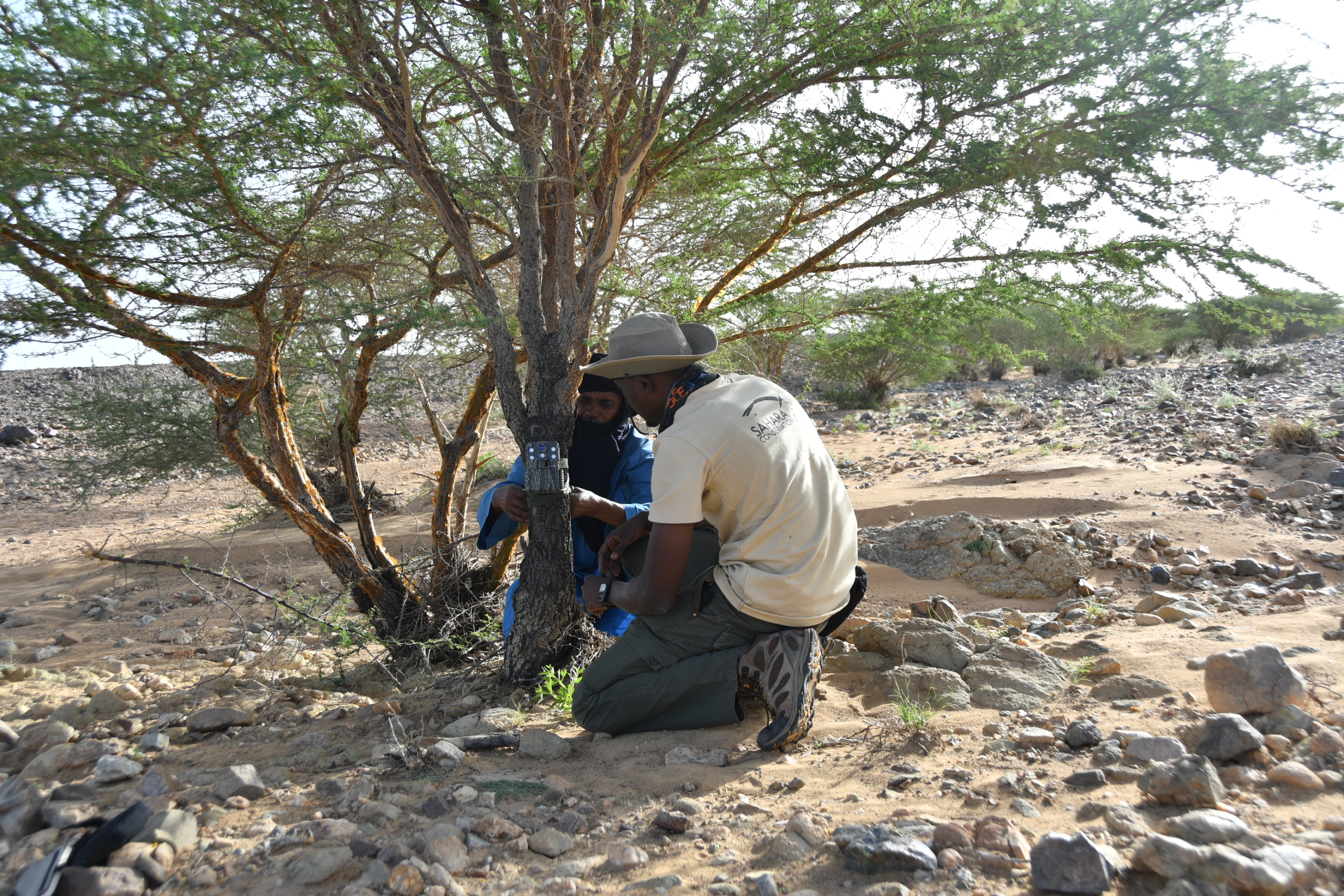 From the Field: Voices of Conservation – Razack