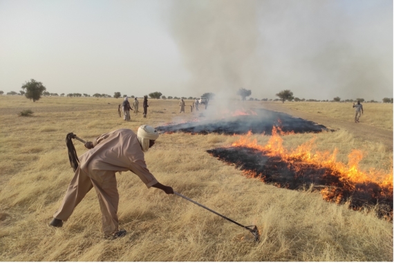 Quand le feu recule, la vie avance