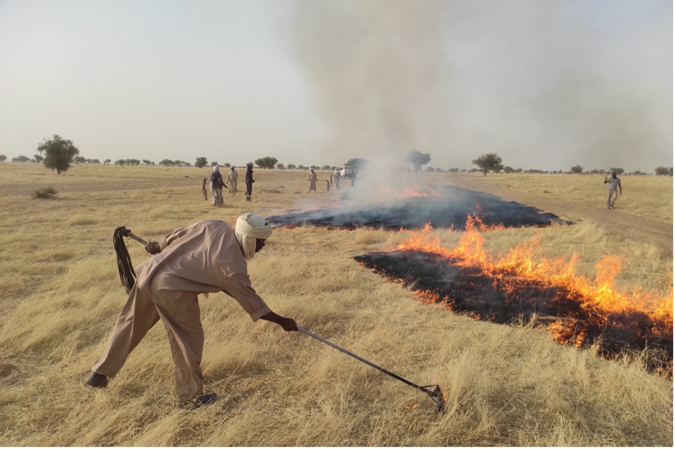 Quand le feu recule, la vie avance